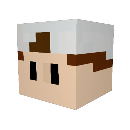 kittyd123 Minecraft avatar head, 3D render