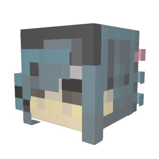 kittyfight Minecraft avatar head, 3D render