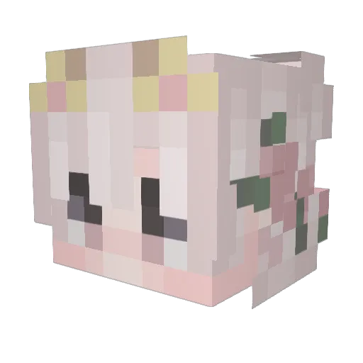 kittygamer260 Minecraft avatar head, 3D render