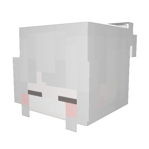 kittygamergirl19 Minecraft avatar head, 3D render