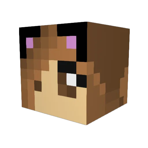 kittykat100 Minecraft avatar head, 3D render