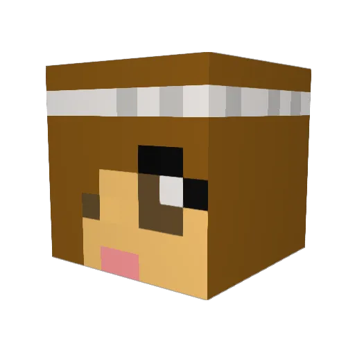 kittykat1969 Minecraft avatar head, 3D render