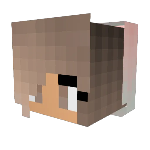 kittykat2k18 Minecraft avatar head, 3D render