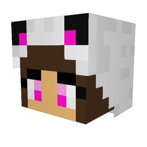 kittykat6800 Minecraft avatar head, 3D render