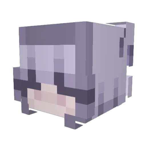 kittykatara6 Minecraft avatar head, 3D render