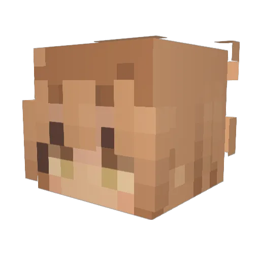 kittykate07 Minecraft avatar head, 3D render