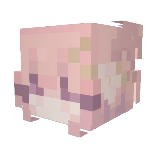kittykatkay Minecraft avatar head, 3D render