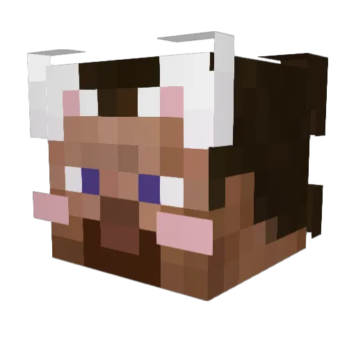kittyluvr02 Minecraft avatar head, 3D render