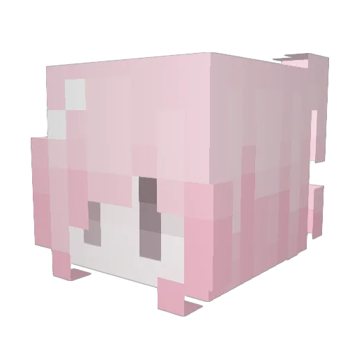 kittymeow5 Minecraft avatar head, 3D render