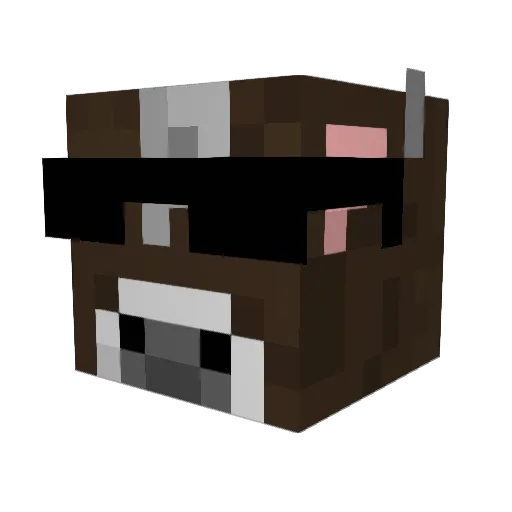 kittymeowmeow22 Minecraft avatar head, 3D render
