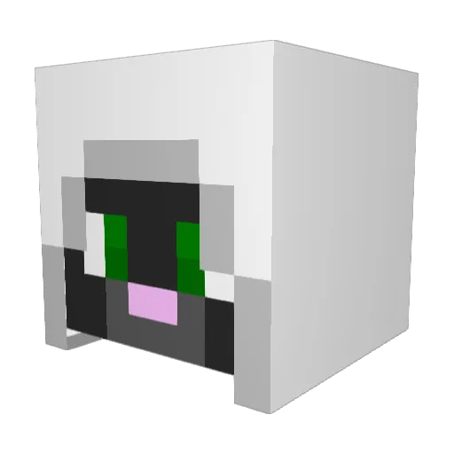 kittyninja1 Minecraft avatar head, 3D render