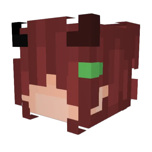 kittypilled2 Minecraft avatar head, 3D render