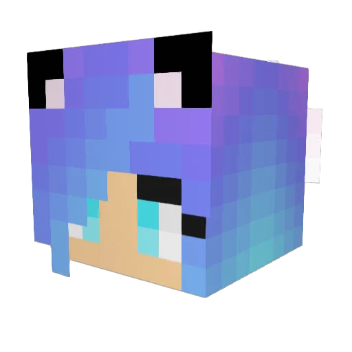 kittypower25 Minecraft avatar head, 3D render