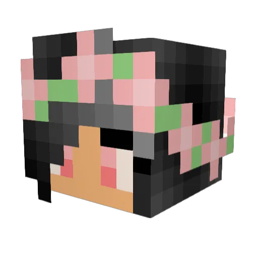 kittyprincess19 Minecraft avatar head, 3D render