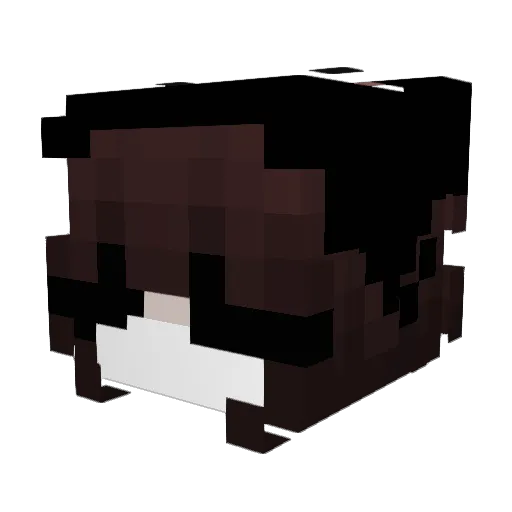 kittyrere Minecraft avatar head, 3D render