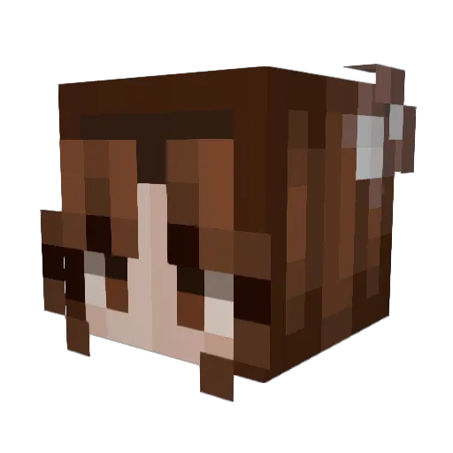 kittysparklez_ Minecraft avatar head, 3D render