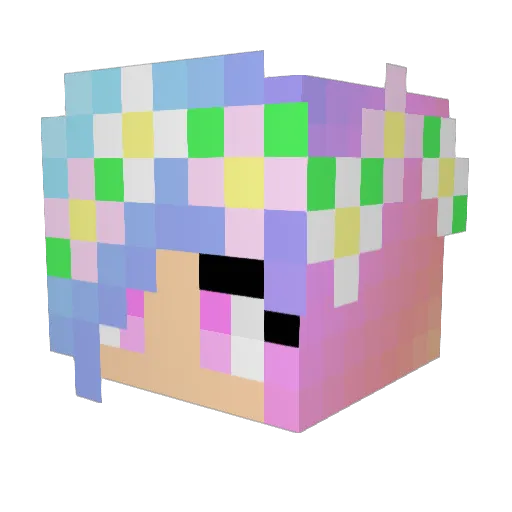 kittyunicorn1 Minecraft avatar head, 3D render