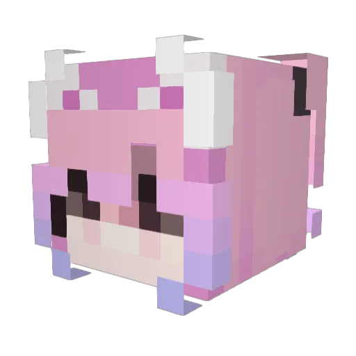 kittyycake Minecraft avatar head, 3D render