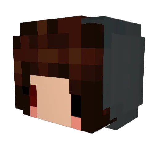 kiuuusPinguin Minecraft avatar head, 3D render