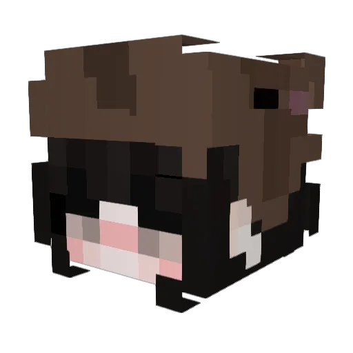 kiviwi Minecraft avatar head, 3D render