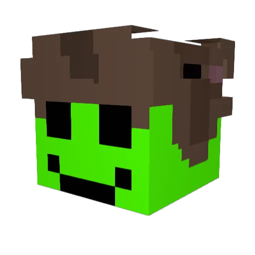 kiwemari Minecraft avatar head, 3D render