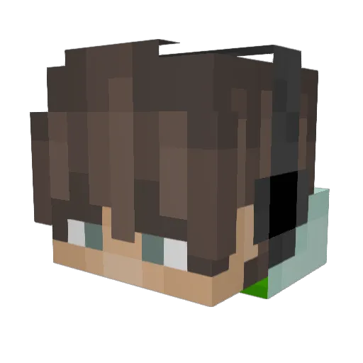 kiwi7346 Minecraft avatar head, 3D render