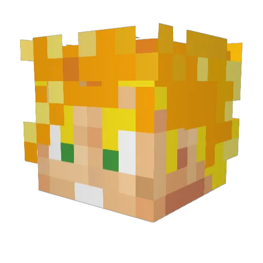kiwiMechanicist Minecraft avatar head, 3D render