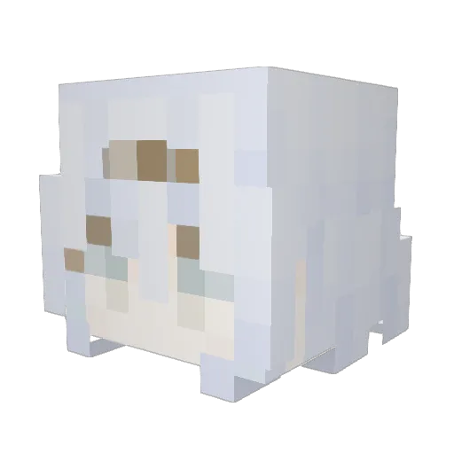 kiwi_0308 Minecraft avatar head, 3D render