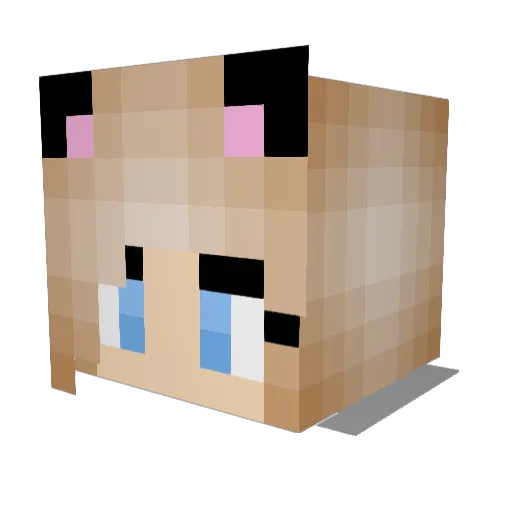 kiwi_crafter Minecraft avatar head, 3D render