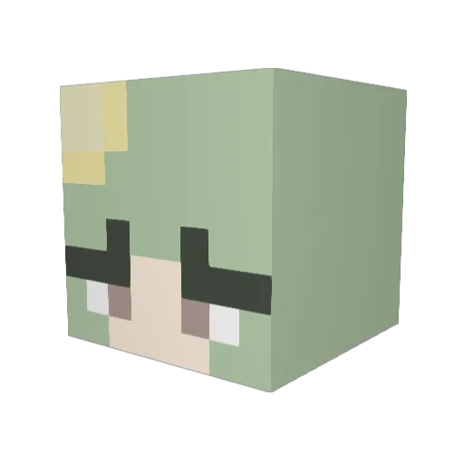 kiwi_koshka Minecraft avatar head, 3D render