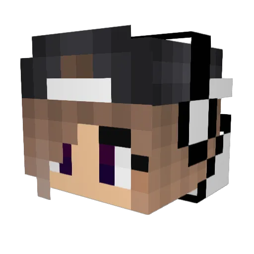 kiwi_unicorn2007 Minecraft avatar head, 3D render