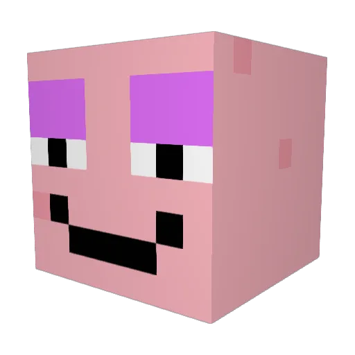 kiwibacon Minecraft avatar head, 3D render