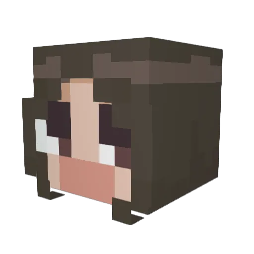 kiwibao Minecraft avatar head, 3D render