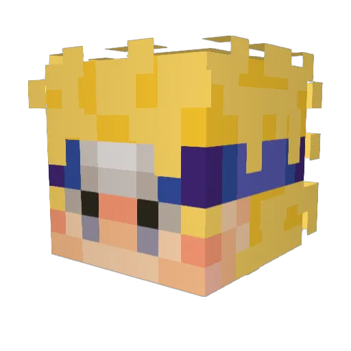 kiwibimbo Minecraft avatar head, 3D render