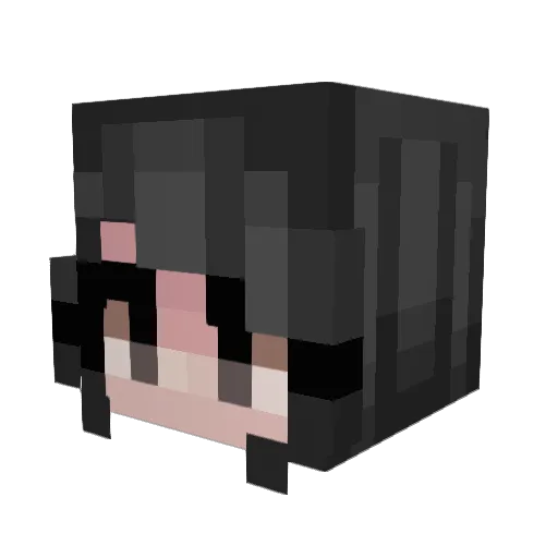 kiwichew Minecraft avatar head, 3D render