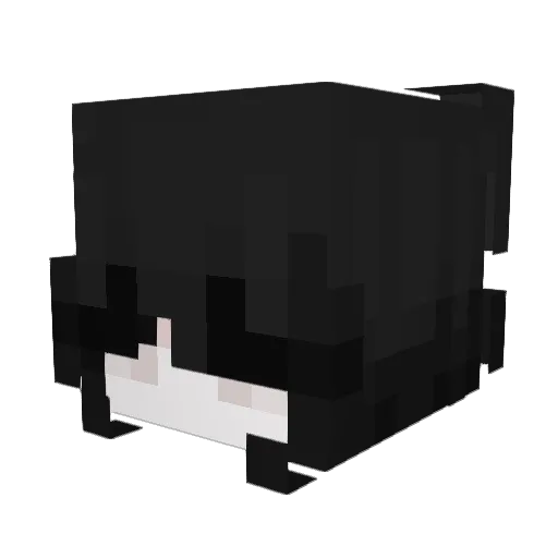 kiwick_ Minecraft avatar head, 3D render