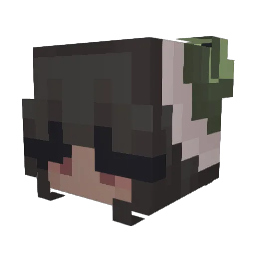 kiwidumb Minecraft avatar head, 3D render