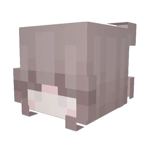 kiwihyun Minecraft avatar head, 3D render