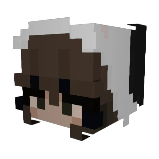 kiwiiis0 Minecraft avatar head, 3D render