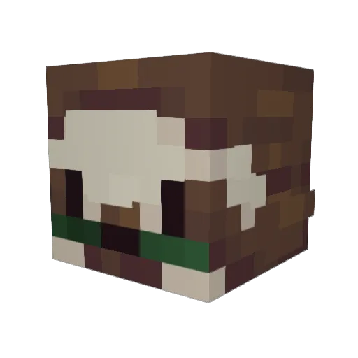 kiwiimouse Minecraft avatar head, 3D render