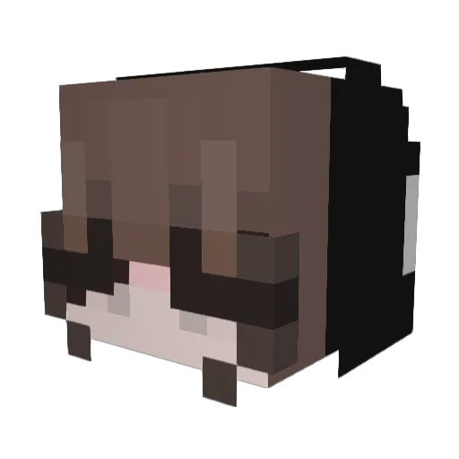 kiwikaraa Minecraft avatar head, 3D render