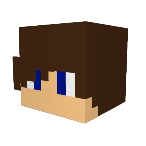 kiwiname Minecraft avatar head, 3D render