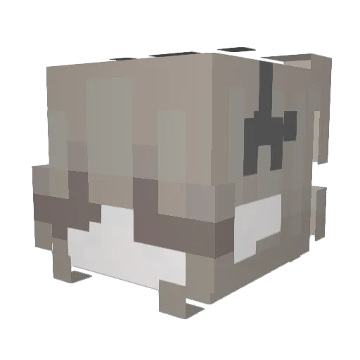 kiwiona Minecraft avatar head, 3D render