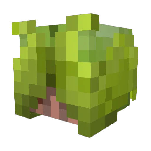 kiwionly Minecraft avatar head, 3D render