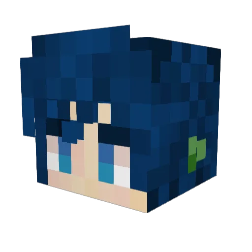 kiwionthemoon Minecraft avatar head, 3D render