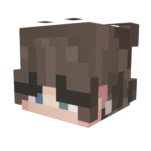 kiwipeck Minecraft avatar head, 3D render