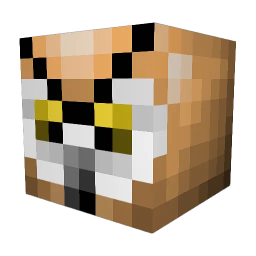 kiwipojken Minecraft avatar head, 3D render