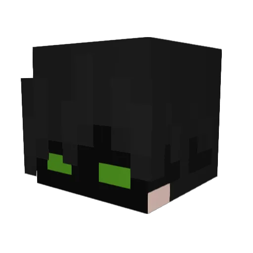 kiwipz Minecraft avatar head, 3D render