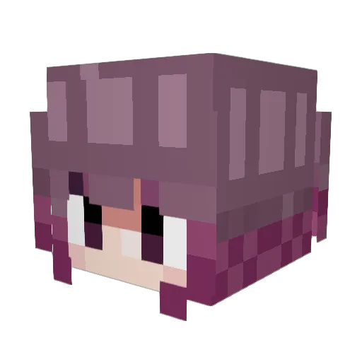 kiwispider Minecraft avatar head, 3D render