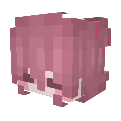 kiwiws Minecraft avatar head, 3D render